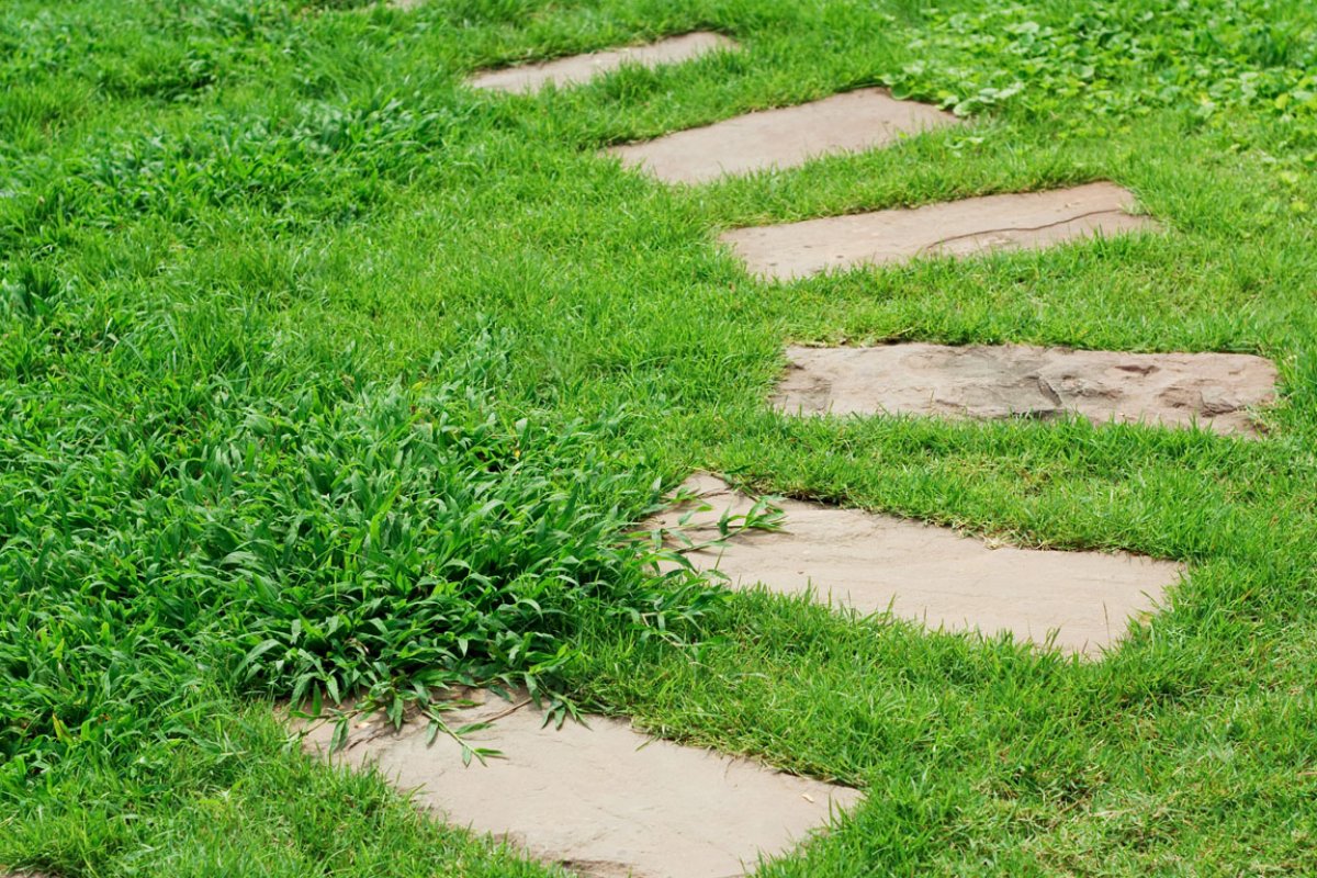 Crabgrass Prevention Binghamton NY | A Great Choice
