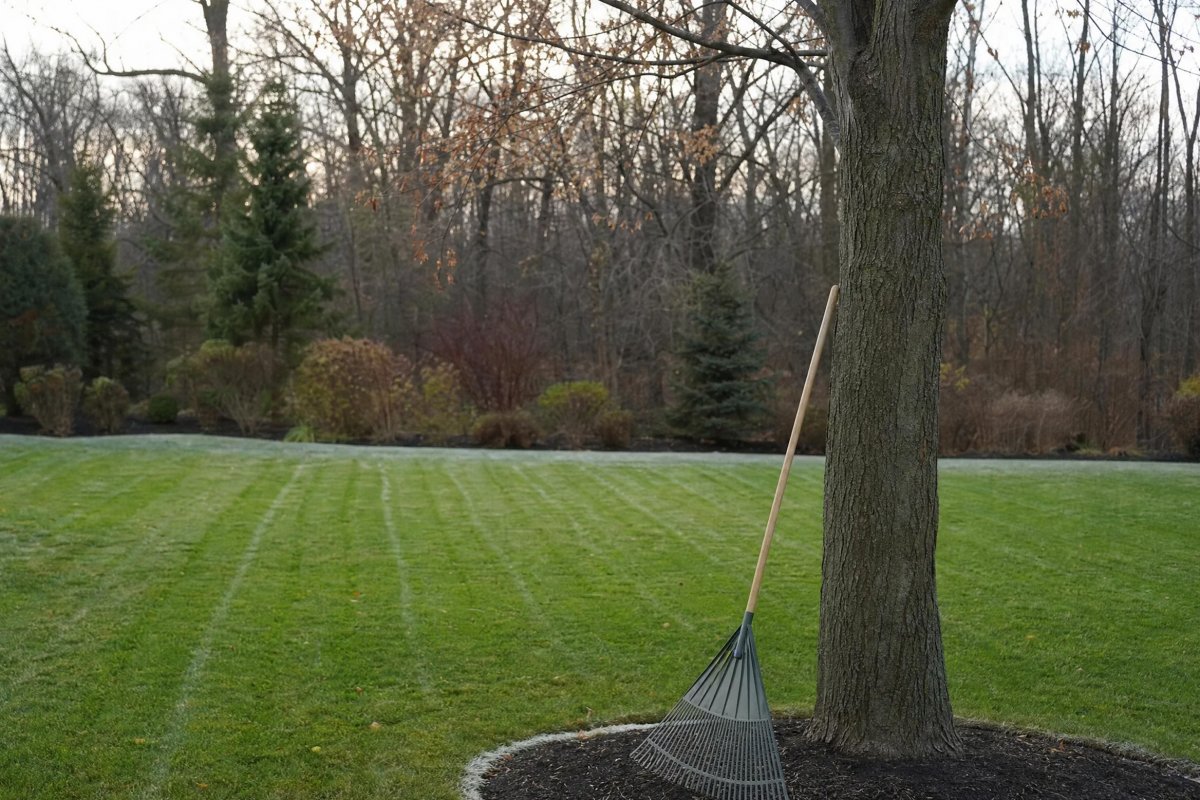 Snow Mold Prevention in Binghamton NY | A Great Choice