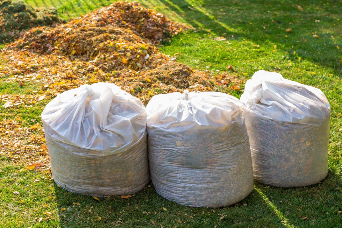 Spring Yard Cleanup Binghamton NY | A Great Choice