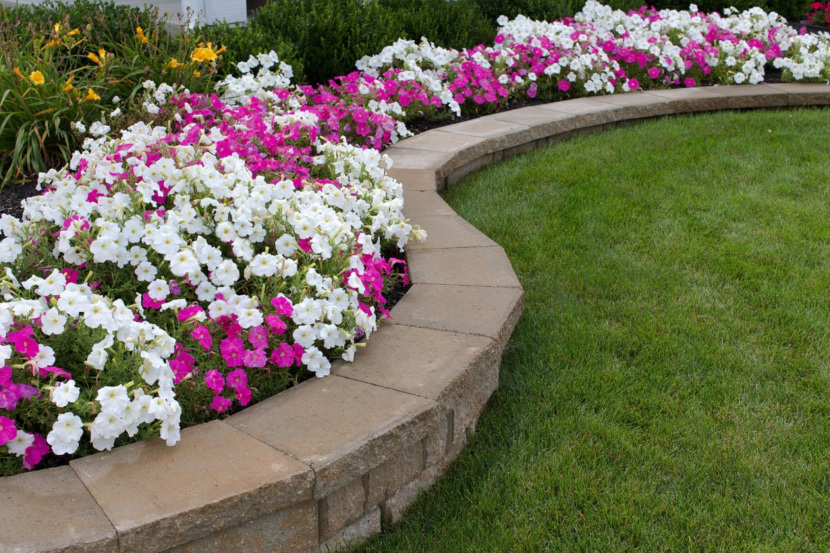 Keep Garden Beds Looking Great All Summer | A Great Choice