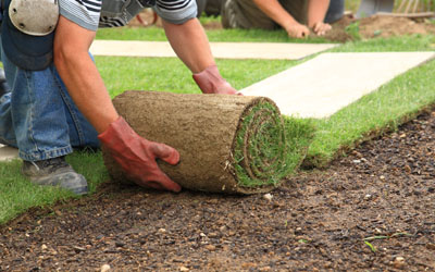 Sod Installation