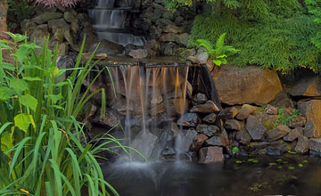 Backyard Water Feature Builder