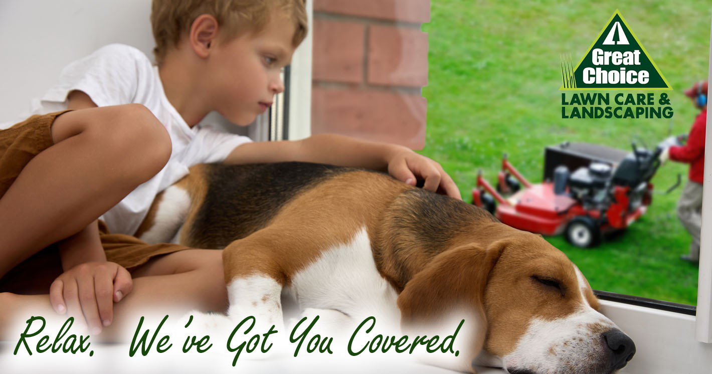 Professional Binghamton Lawn Mowing Service